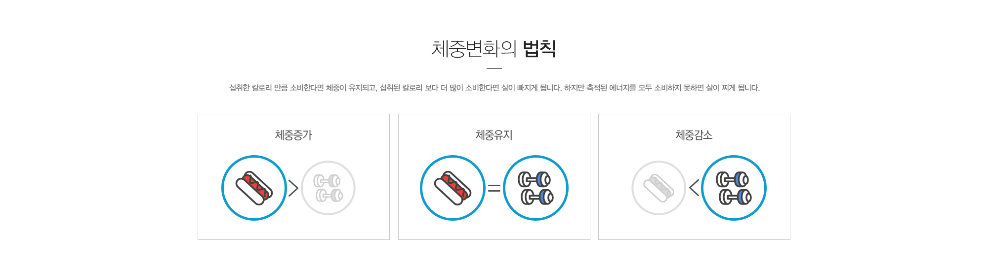 체중변화의 법칙:섭취한 칼로리 만큼 소비한다면 체중이 유지되고, 섭취된 칼로리 보다 더 많이 소비한다면 살이 빠지게 됩니다. 하지만 축적된 에너지를 모두 소비하지 못하면 살이 찌게 됩니다.