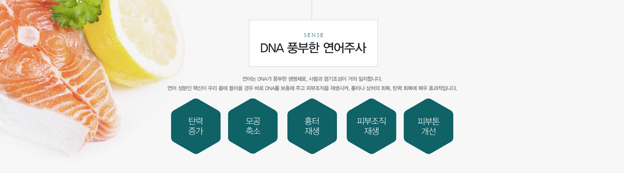 DNA 풍부한 연어주사:연어는 DNA가 풍부한 생명체로, 사람과 염기조성이 거의 일치합니다. 연어 성분인 핵산이 우리 몸에 들어올 경우 바로 DNA를 보충해 주고 피부조직을 재생시켜, 흉터나 상처의 회복, 탄력 회복에 매우 효과적입니다. / 탄력증가,모공축소,흉터재생,피부조직재생,피부톤개선