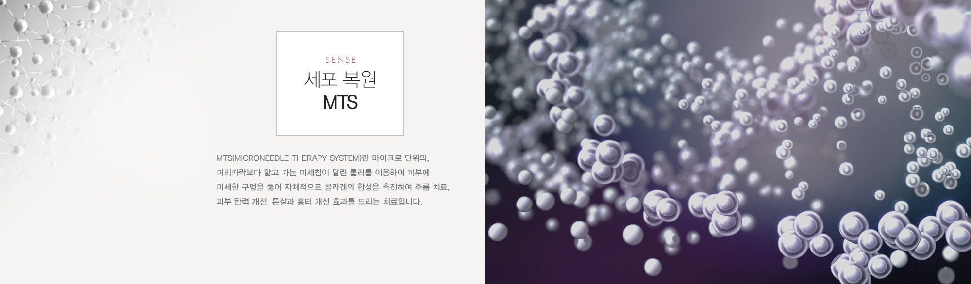 세포 복원MTS:MTS(Microneedle Therapy System)란 마이크로 단위의, 머리카락보다 얇고 가는 미세침이 달린 롤러를 이용하여 피부에 미세한 구멍을 뚫어 자체적으로 콜라겐의 합성을 촉진하여 주름 치료, 피부 탄력 개선, 튼살과 흉터 개선 효과를 드리는 치료입니다.