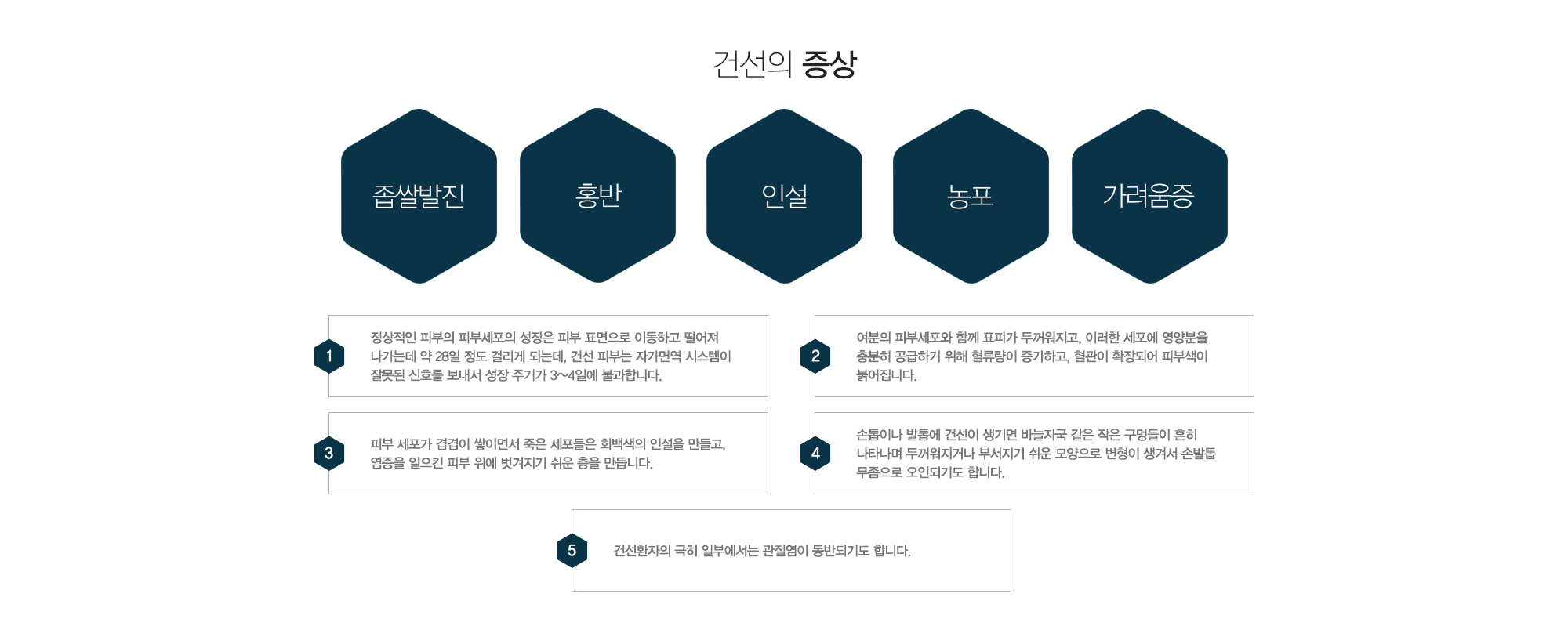 건선의 증상:좁쌀발진,홍반,인설,농포,가려움증 1)정상적인 피부의 피부세포의 성장은 피부 표면으로 이동하고 떨어져 나가는데 약 28일 정도 걸리게 되는데, 건선 피부는 자가면역 시스템이 잘못된 신호를 보내서 성장 주기가 3~4일에 불과합니다. 2)여분의 피부세포와 함께 표피가 두꺼워지고, 이러한 세포에 영양분을 충분히 공급하기 위해 혈류량이 증가하고, 혈관이 확장되어 피부색이 붉어집니다. 3)피부 세포가 겹겹이 쌓이면서 죽은 세포들은 회백색의 인설을 만들고, 염증을 일으킨 피부 위에 벗겨지기 쉬운 층을 만듭니다. 4)손톱이나 발톱에 건선이 생기면 바늘자국 같은 작은 구멍들이 흔히 나타나며 두꺼워지거나 부서지기 쉬운 모양으로 변형이 생겨서 손발톱 무좀으로 오인되기도 합니다. 5)건선환자의 극히 일부에서는 관절염이 동반되기도 합니다.