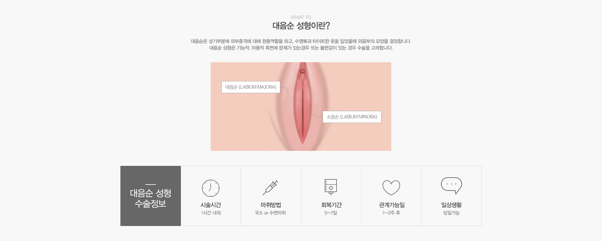 대음순성형이란?대음순성형이란?질성형이란 늘어진 질점막을 바로잡고 성감대를 극대화 시키는 질축소 성형술입니다. 질성형은 근육위치의 이동을 통한 보다 효과적인 질의 수축은 물론 기존의 질성형 수술보다 긴 유지기간을 형성합니다.//대음순성형수술정보:시술시간1시간내외,국소or수면마취,회복기간5-7일,관계가능일1-2주후,일상생활당일가능